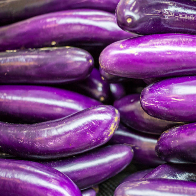 davidsgdnseeds's tweet image. Grow a classic with 25 Eggplant Long Purple seeds! Known for rich color &amp;amp; reliable growth, they're a rewarding garden addition. Just $2.26 per packet for quality heirloom seeds. Perfect for your next planting season! 🌱🍆 #GardenSeeds #HeirloomQuality davidsgardenseeds.com/products/eggpl…
