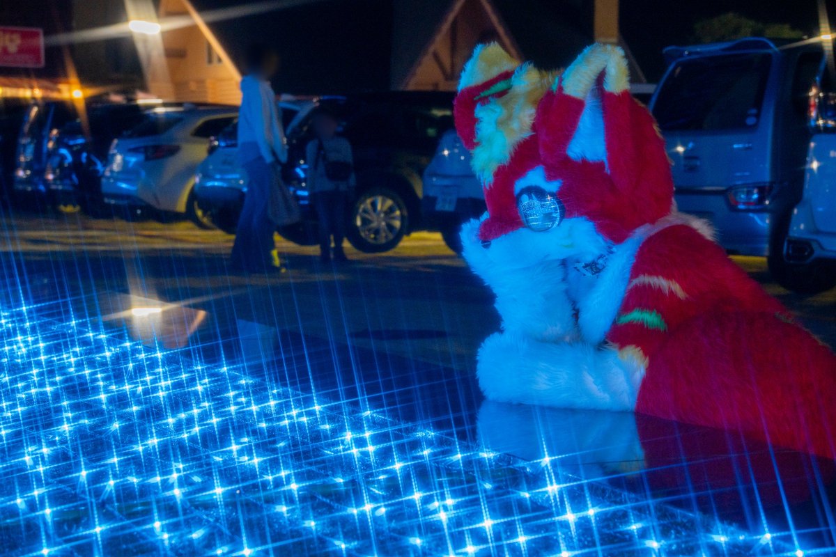 ✦🐯🐶✦
#KemonoSpaceFukuoka
#KSF4th