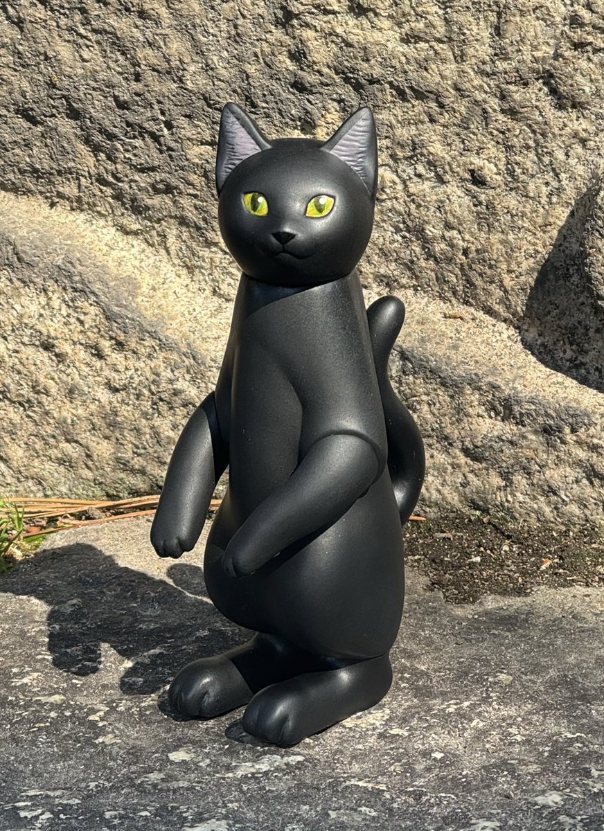 🐈‍⬛Catto🐈‍⬛ 宇珠猫ちゃんご紹介④黒猫さん 目力つよつよ、黒猫