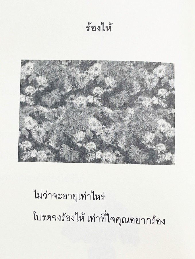 klinnangsue's tweet image. 