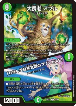 大長老 アプル／「わたしが自然文明のプリンセス？」 最安値更新⭕ 19