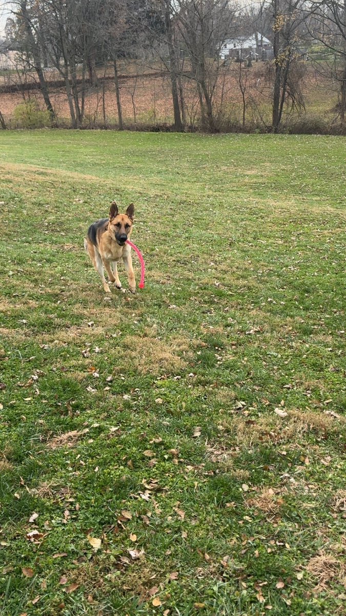 Kyle Rutledge, MS, MHA, AT, ATC tweet media