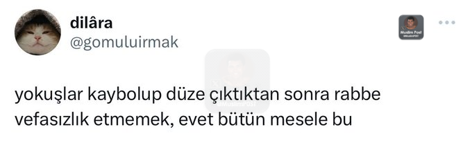 Muslim Post (@muslimp0st) on Twitter photo 