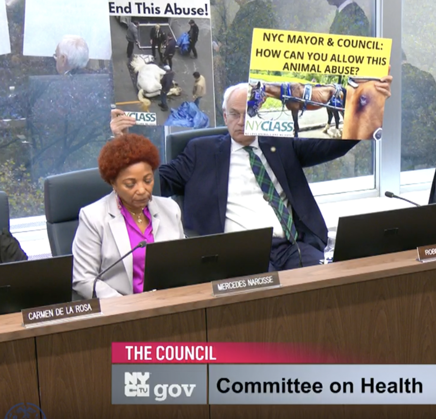 The NYC Council, which just voted down a horse carriage ban, is morally bankrupt and corrupt.

But don't listen to me. 

Listen to one of its own members, who was forced to hold up protest signs AT HIS OWN HEARING because the industry suppressed discussion or dissent.