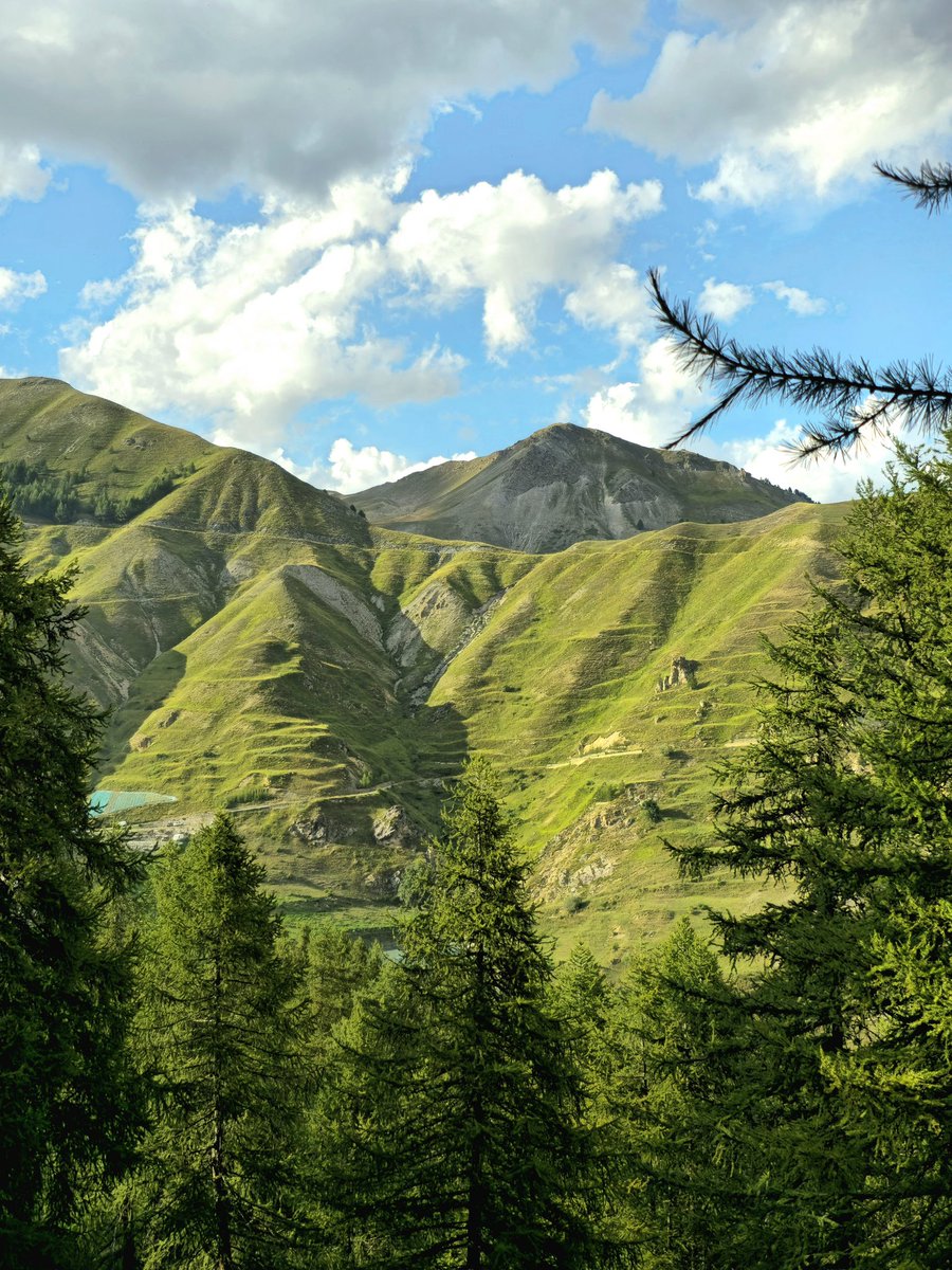 extrêmement vivant tweet media