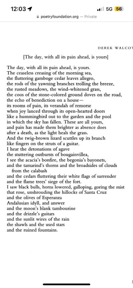sbeyapoetry's tweet photo. #derekwalcott #poetry 💗💗💗 https://t.co/pbohN9o3jd