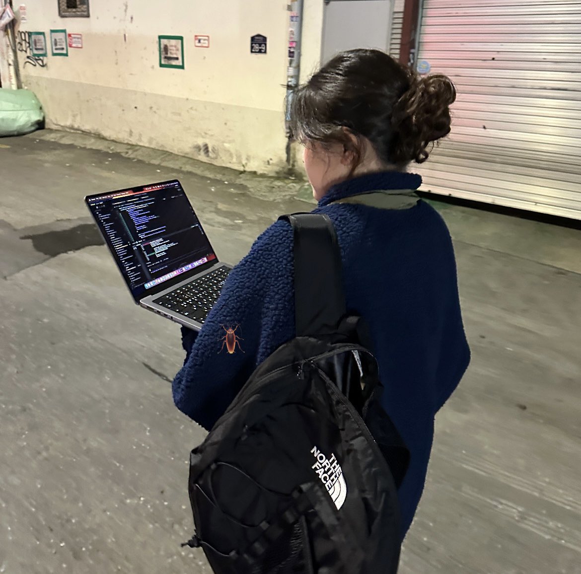 cailynyongyong's tweet image. Killing bugs on the street