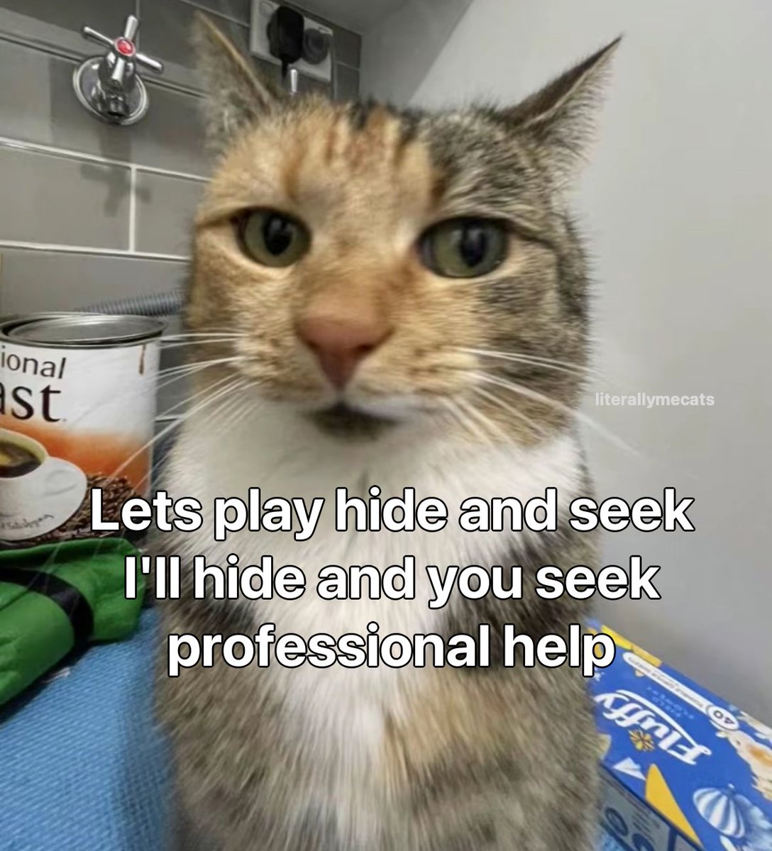 nocontextscats's tweet photo. https://t.co/fUOpT3rd62
