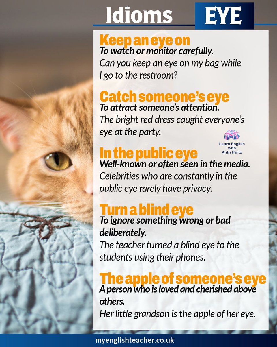 MyLinguaAcademy's tweet image. Learn idioms using the word EYE
buff.ly/huaYvNP 
#learnenglish