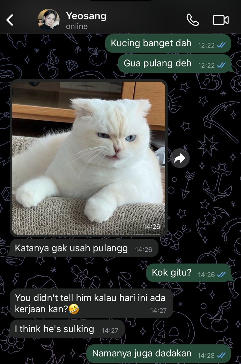 neptunemiy's tweet photo. weongnat ; woosan ; weong macan ireng

sani miong putih lagi https://t.co/j2BL0ezwwh