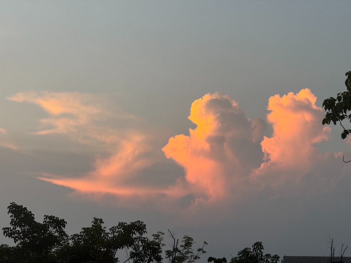 Elkeson航 tweet media