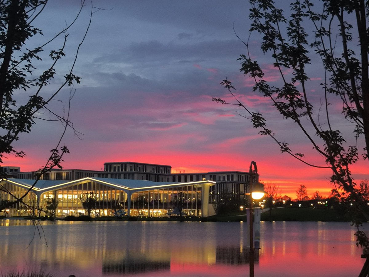 Elkeson航 tweet media