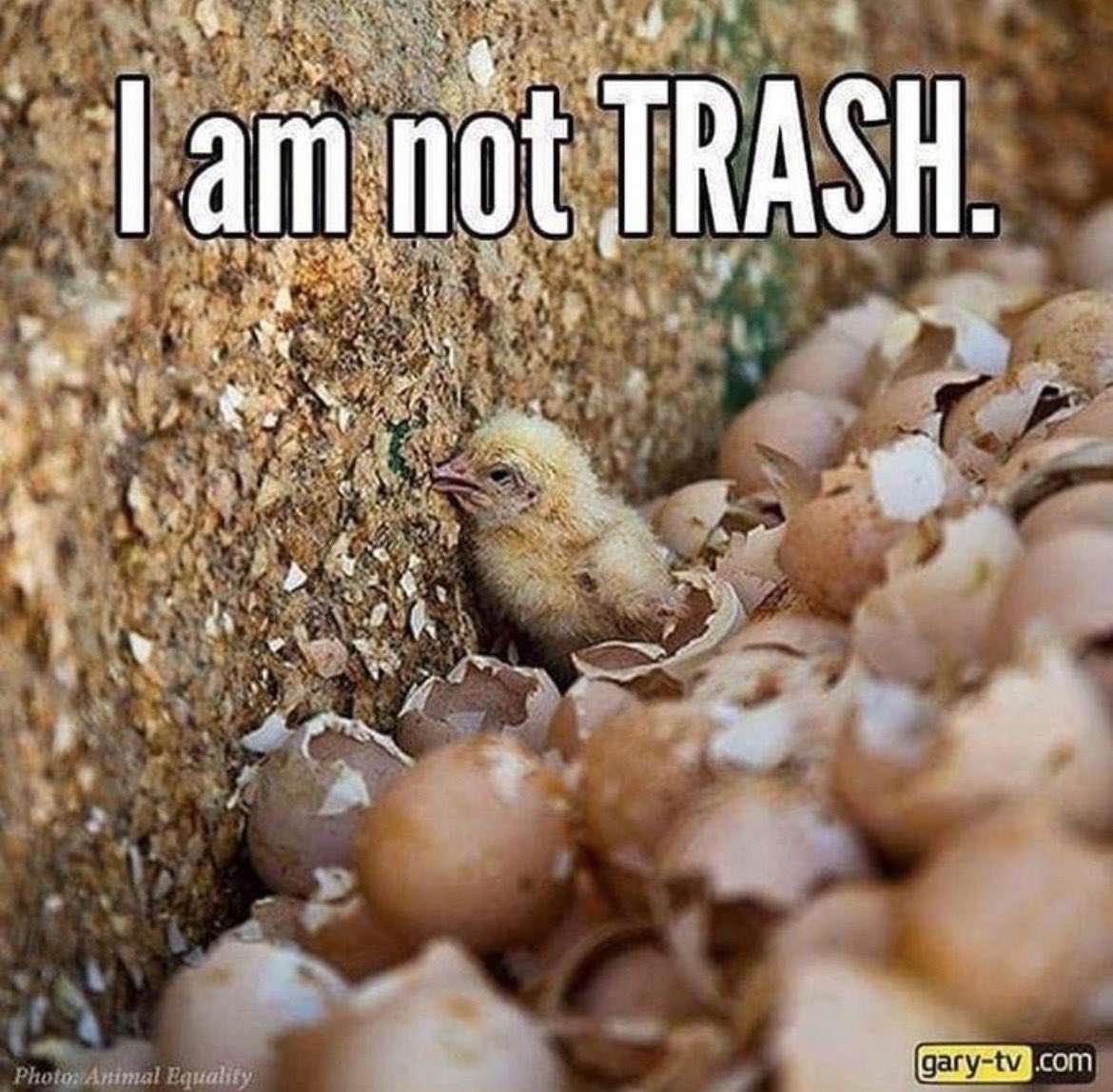 NothingIsArt (@nothingisart) on Twitter photo 