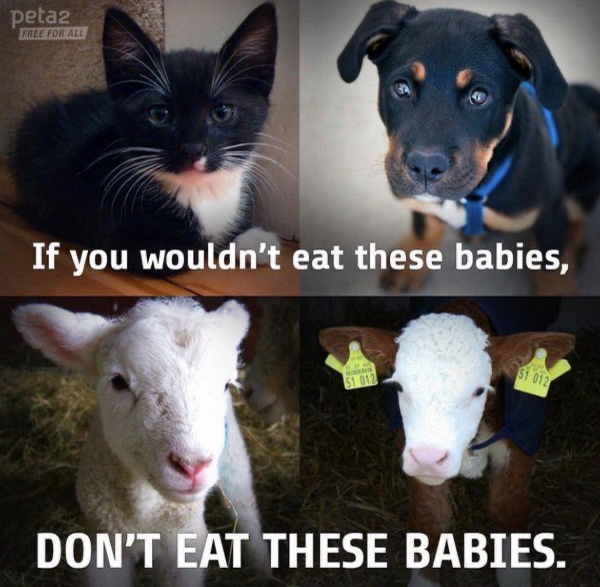 NothingIsArt (@nothingisart) on Twitter photo 