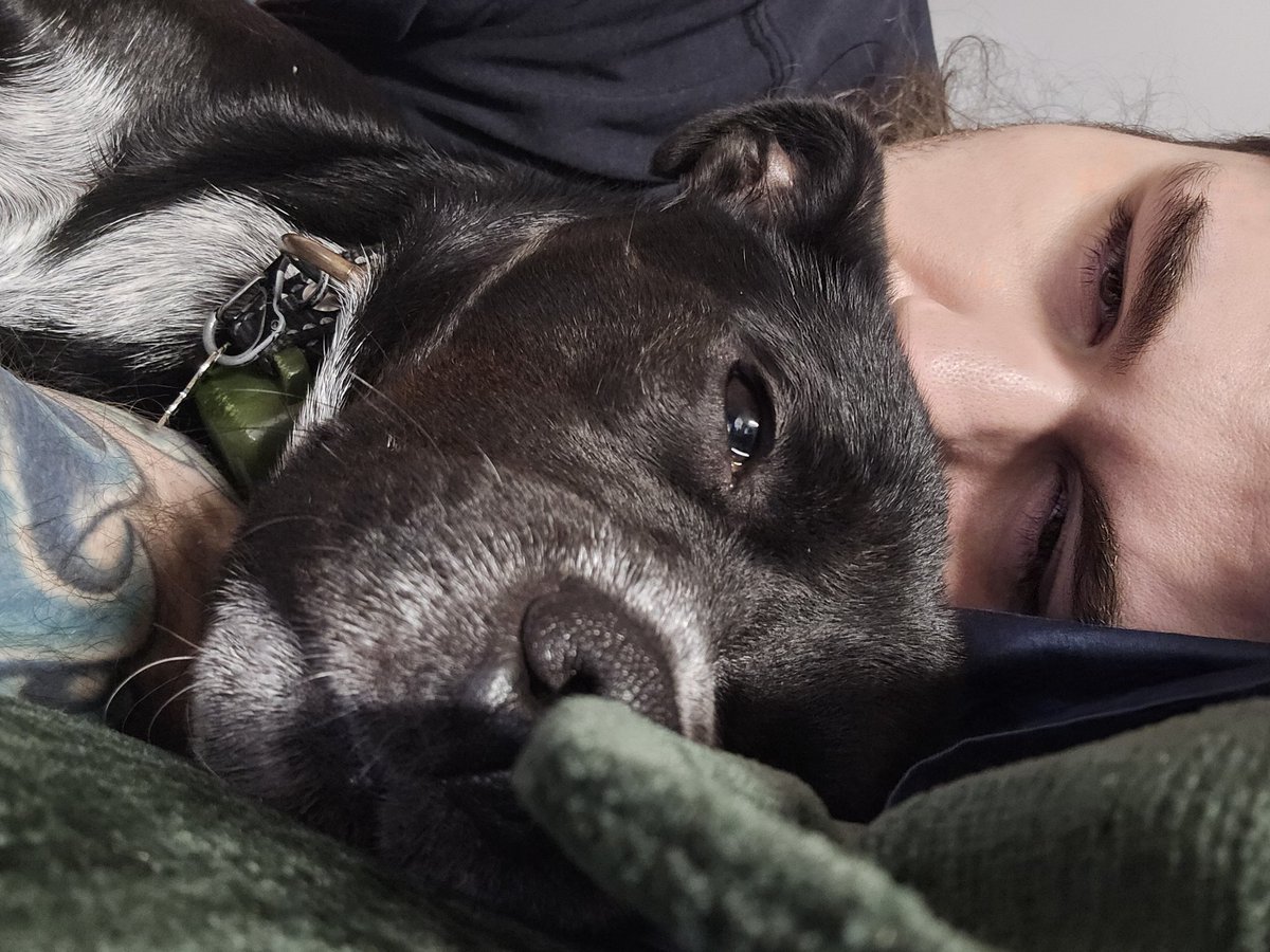 Day 2 of dying...might have to use that ol' hospital all the rich people are raving about....