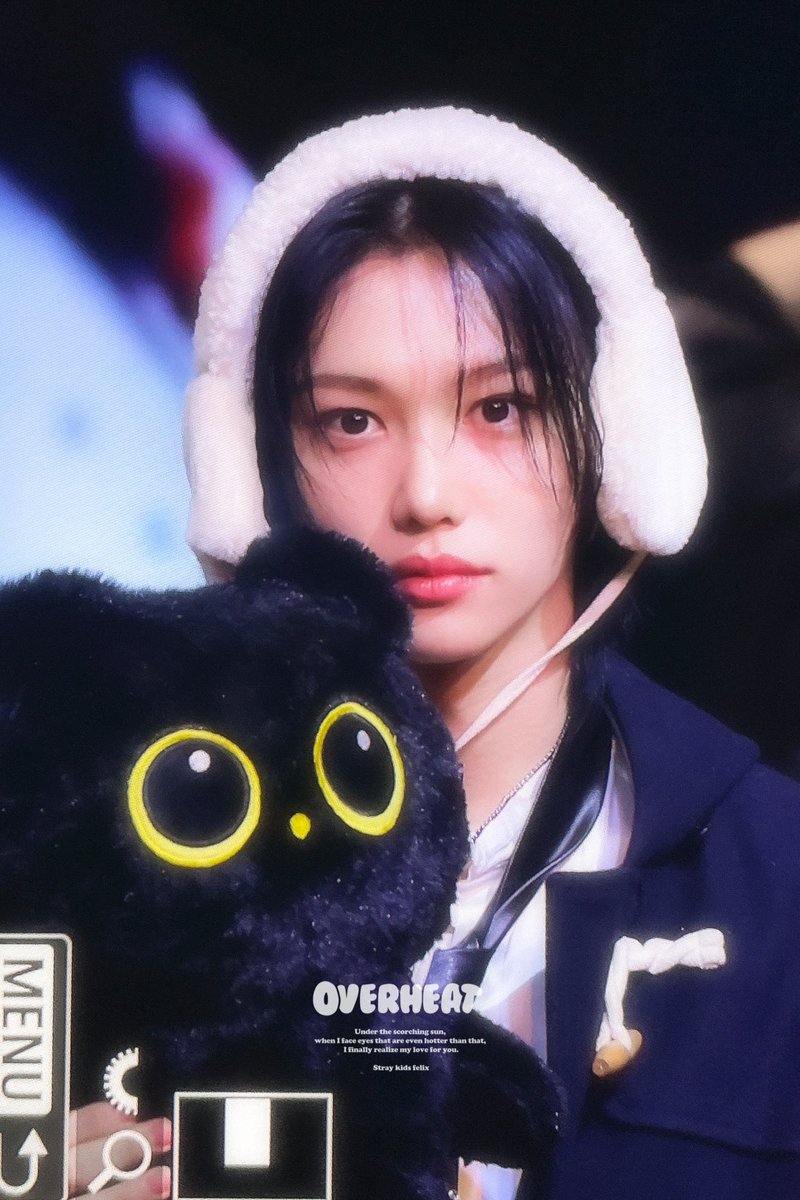 용복고양이 자만추함