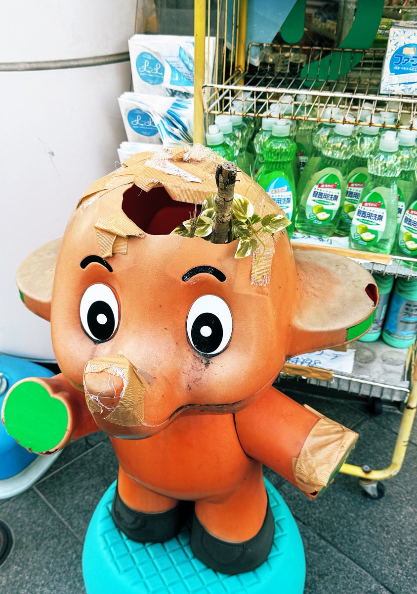 きりん (@kirin_mememori) / Posts / X