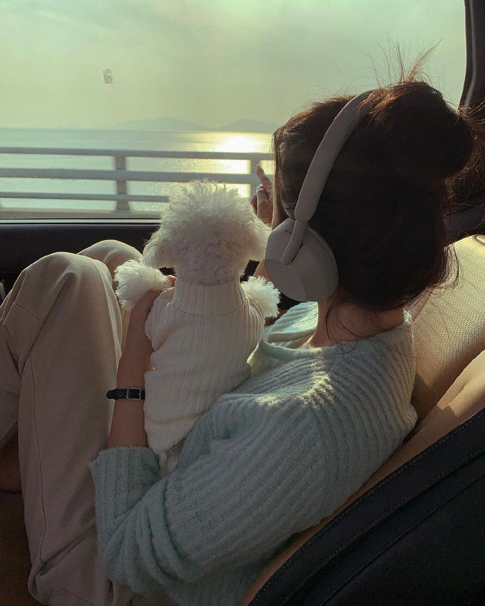 Stardyn8's tweet image. A small frame from our day
#CutePet #LifeMoments #DogContent