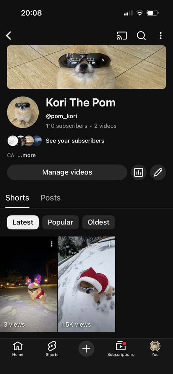 Now Kori is on YouTube! ❤️

youtube.com/@pom_kori?si=m…
