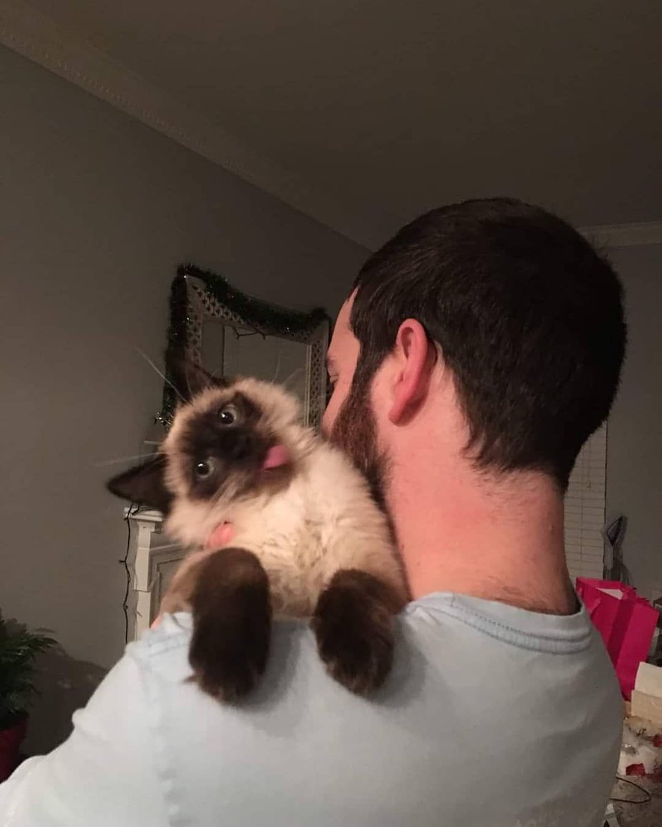 Miaw's tweet image. "he's mine" ahh face