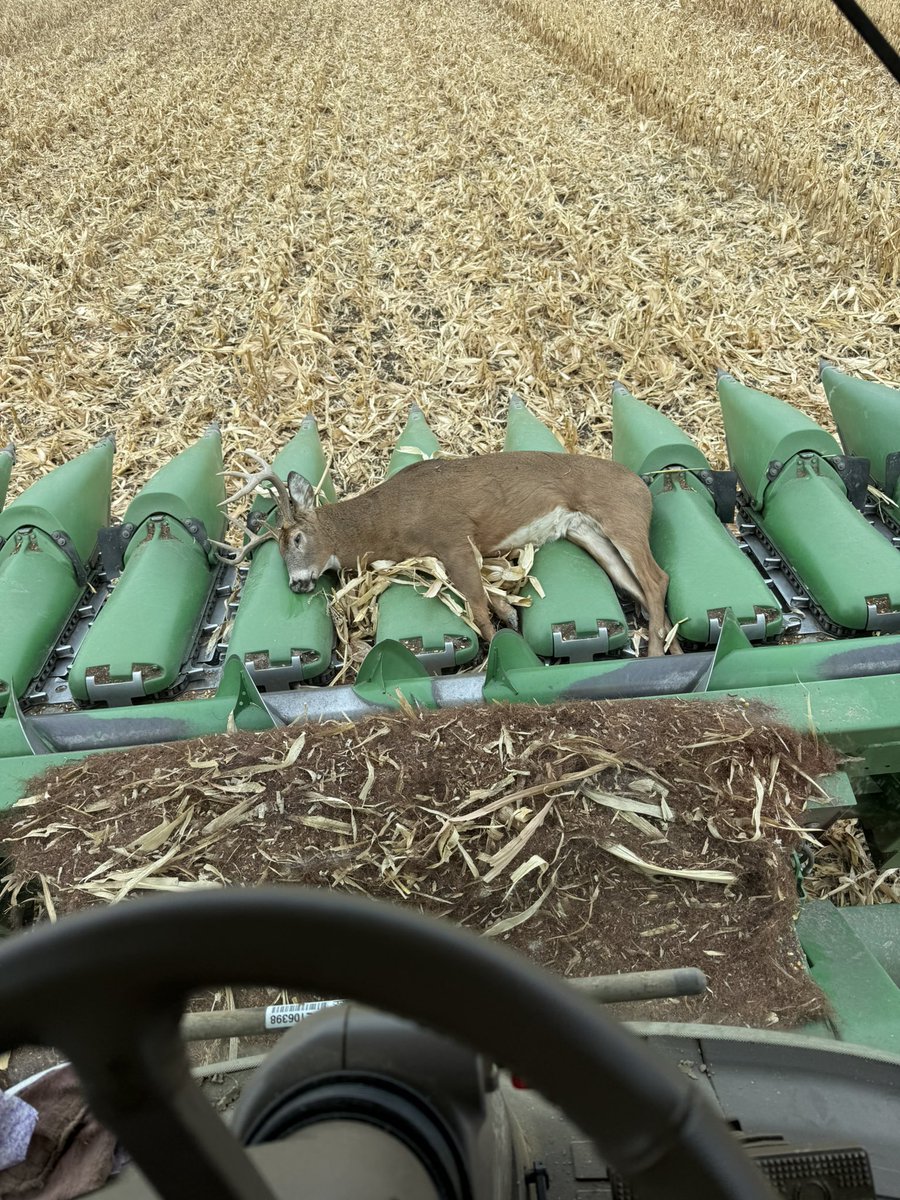 ben farming long tweet media