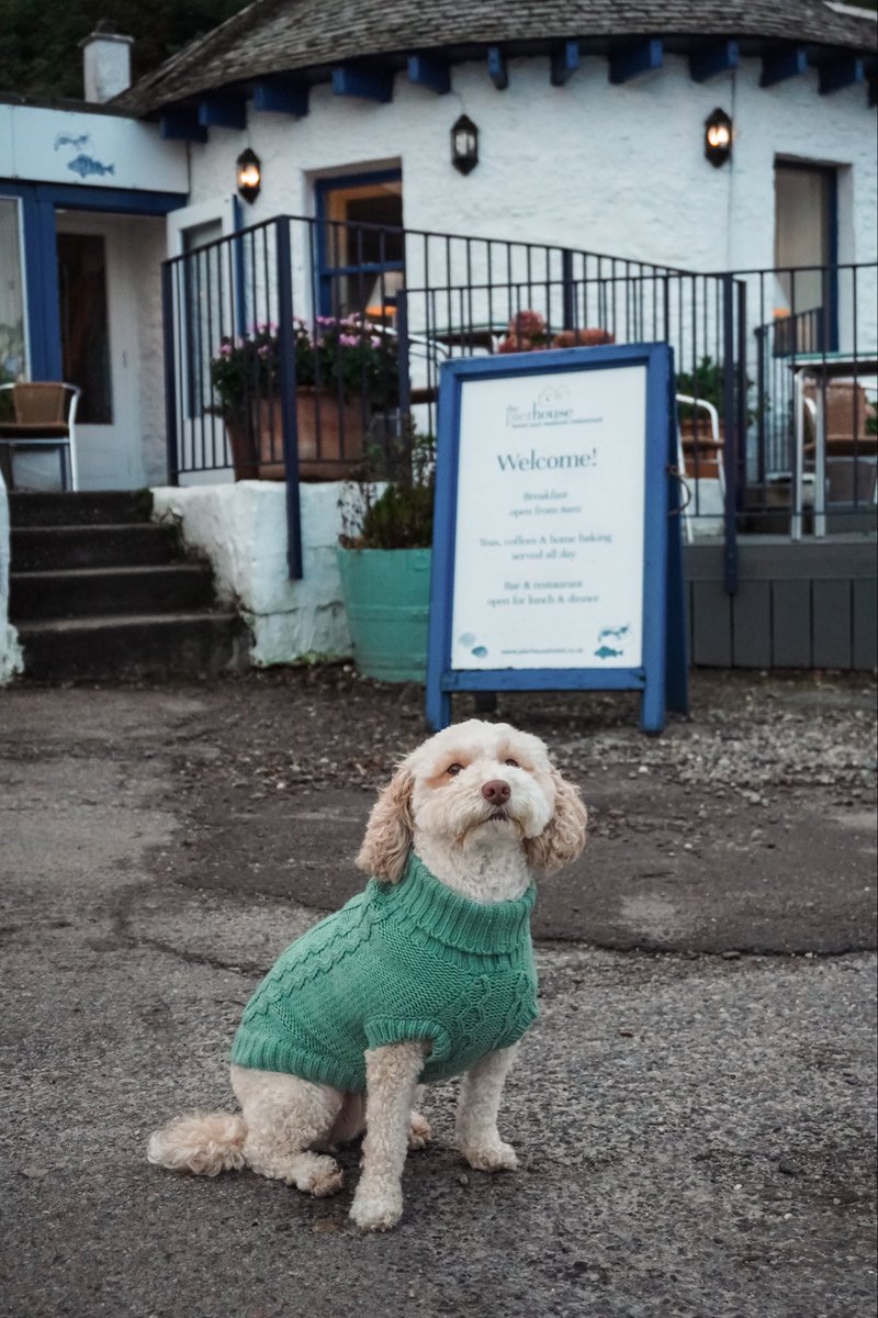 The Pierhouse Hotel tweet media