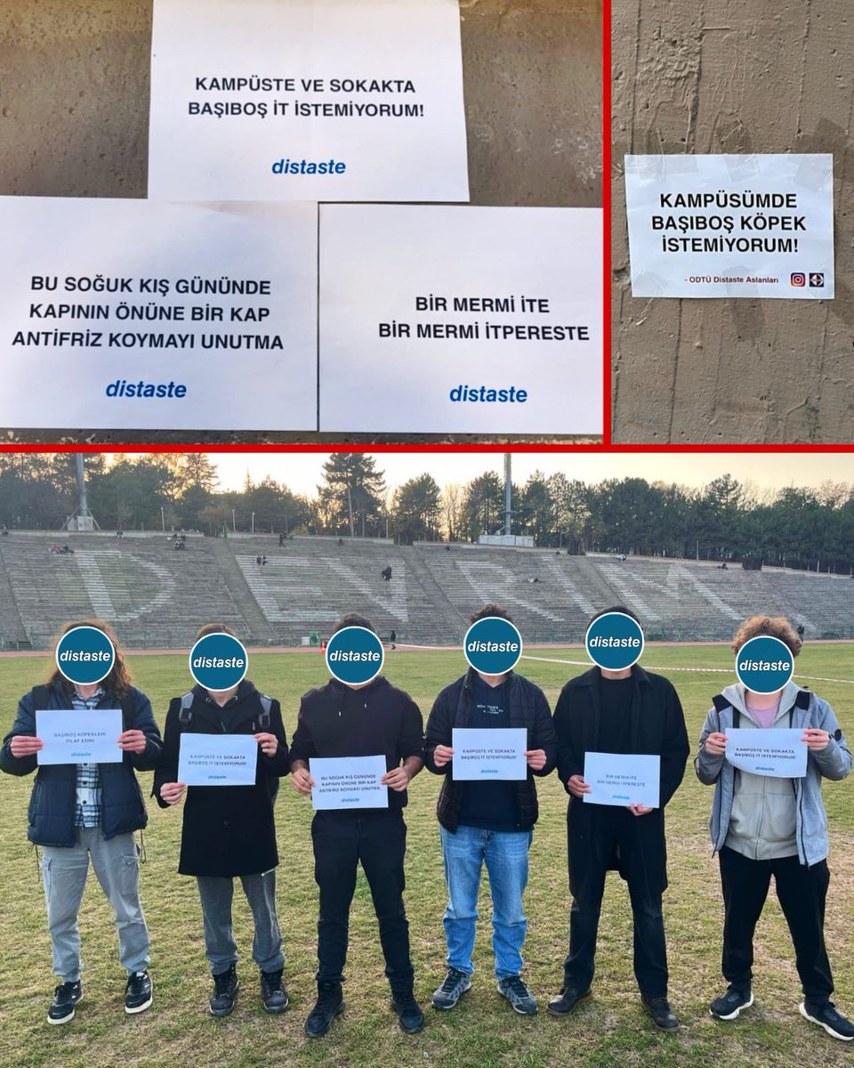 daktilock's tweet photo. ODTÜ'lü öğrenciler, ülkedeki başıboş köpek sorununa sert bir dille tepki gösterdi. https://t.co/2MygEM68wF