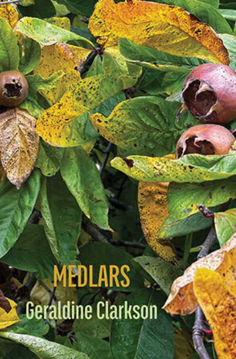 Celandine tweet media