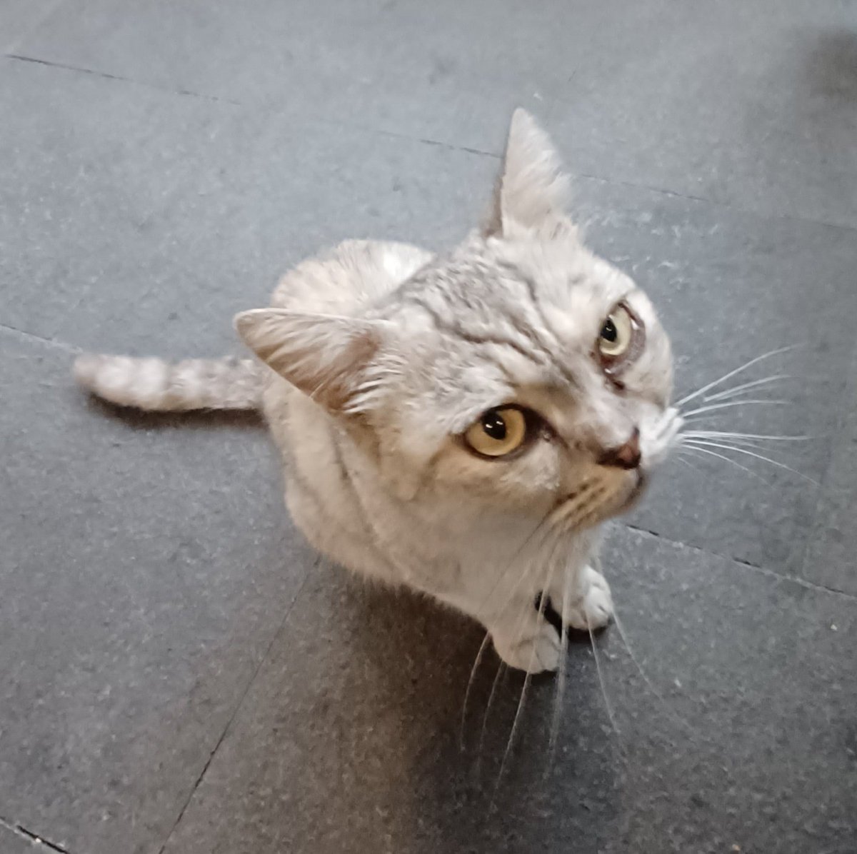 Saran film netflix dong