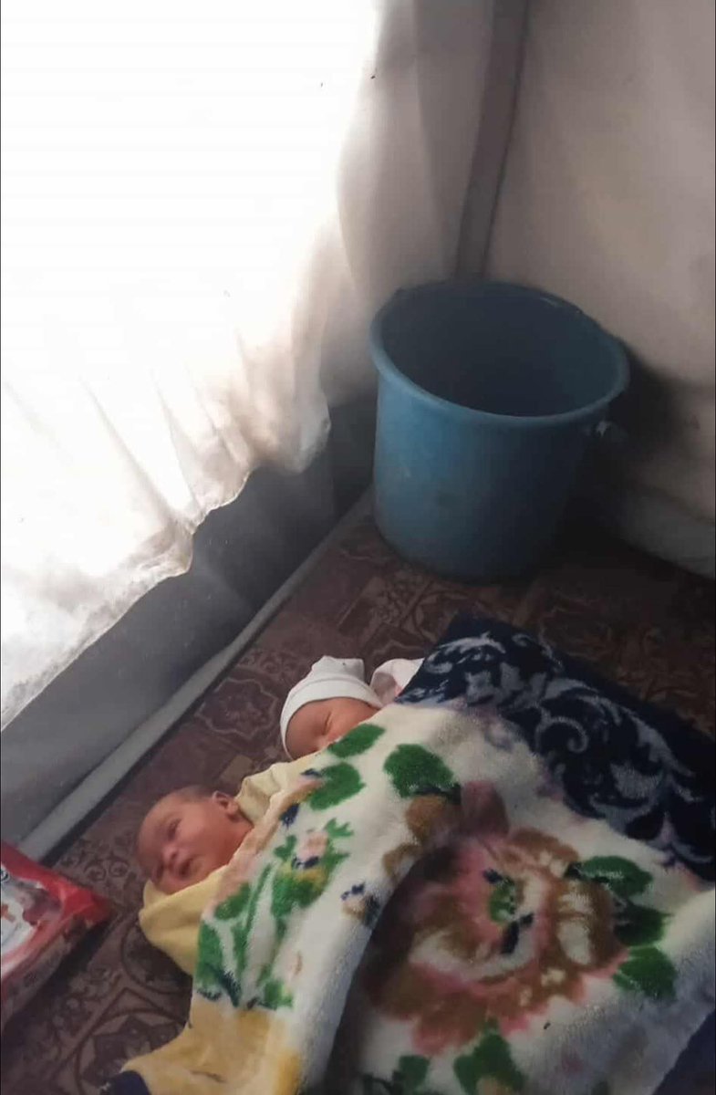 حازم 𓂆 tweet media