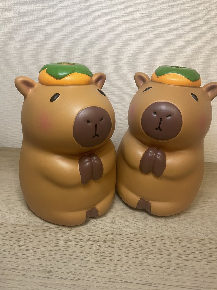 ショップカピバラかぴばらは、とっても楽しいカピバラグッズショップ🥰少し、商品紹介します。
こちらは造花用花瓶🌷存在感ばつぐんのカピん(かびん)です❣️
#カピバラ
#capybara
#カピパラダイス