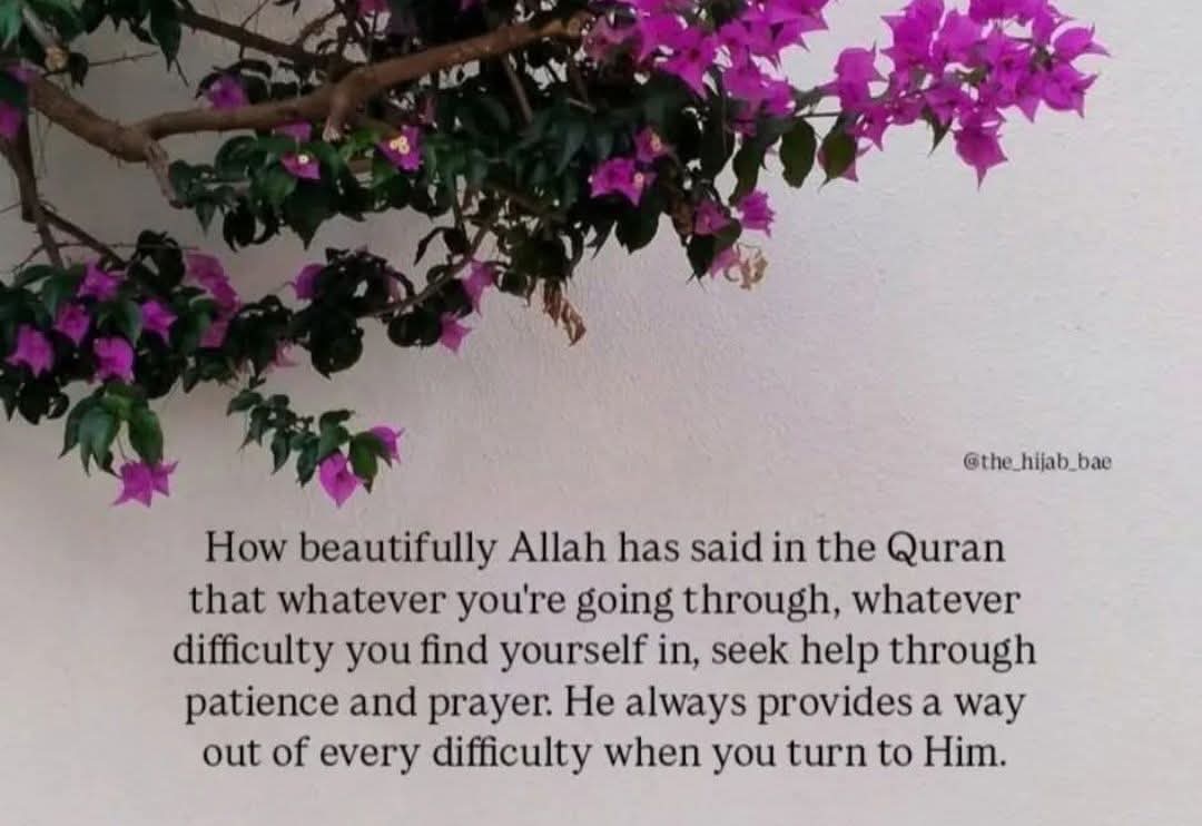 herqalb's tweet photo. https://t.co/XUvUPrFZmE
