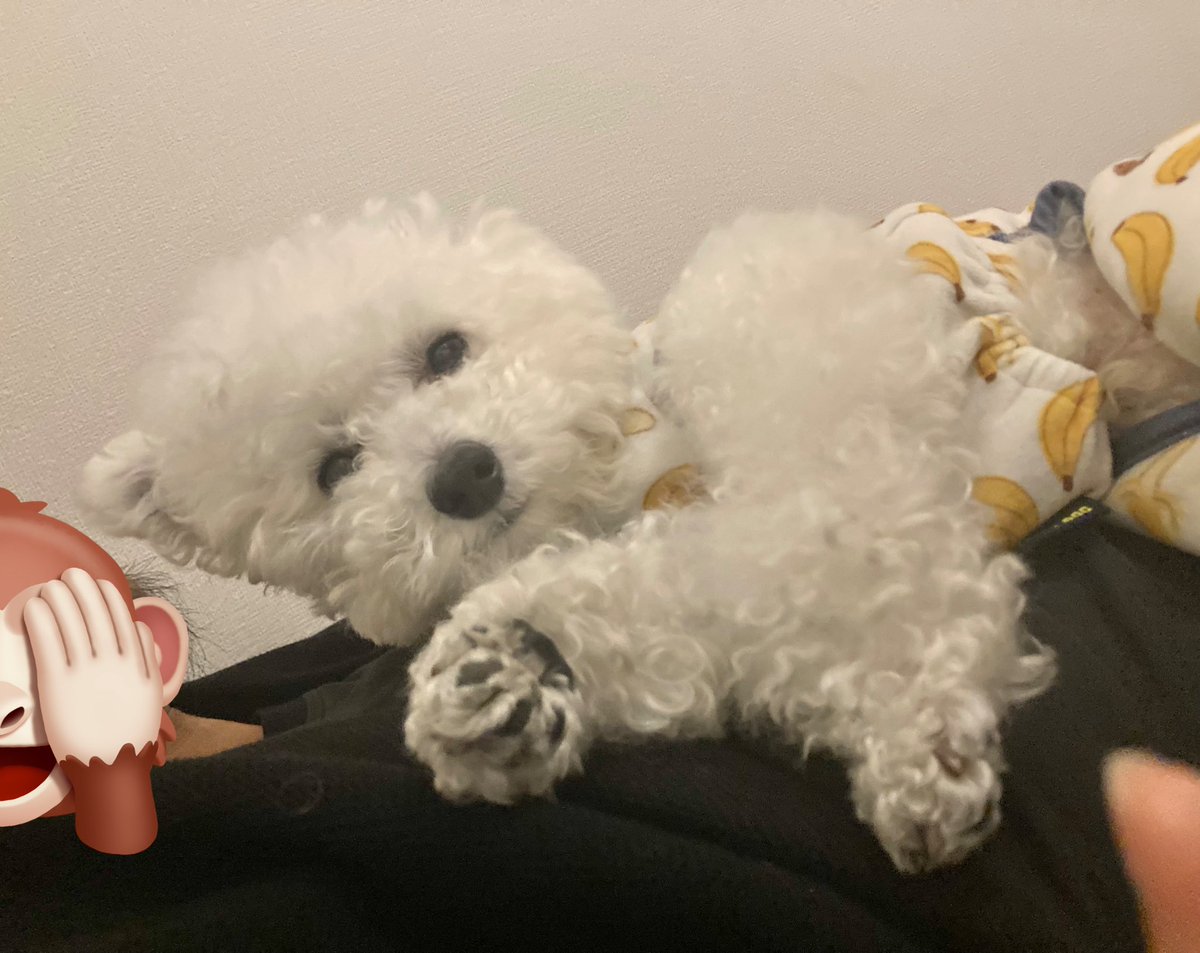 くるるのママ (@kurukun0821) / Posts / X