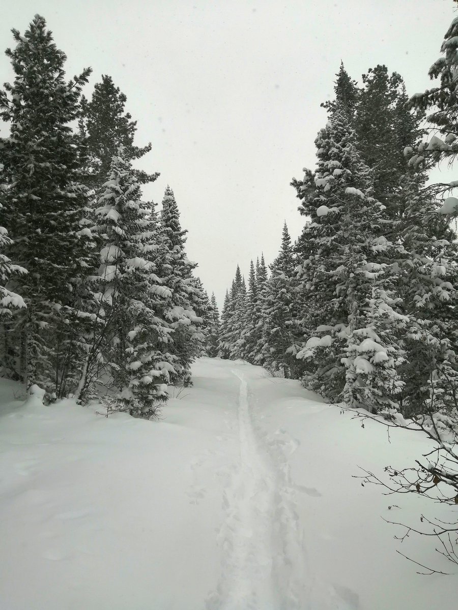 Сибири-кум (@yatsekst) on Twitter photo 