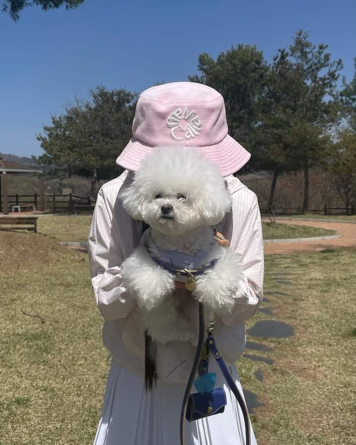 Lunareve55's tweet image. Quick snap with the fluffy sidekick
 #PupLife #DailyShot #PetContent