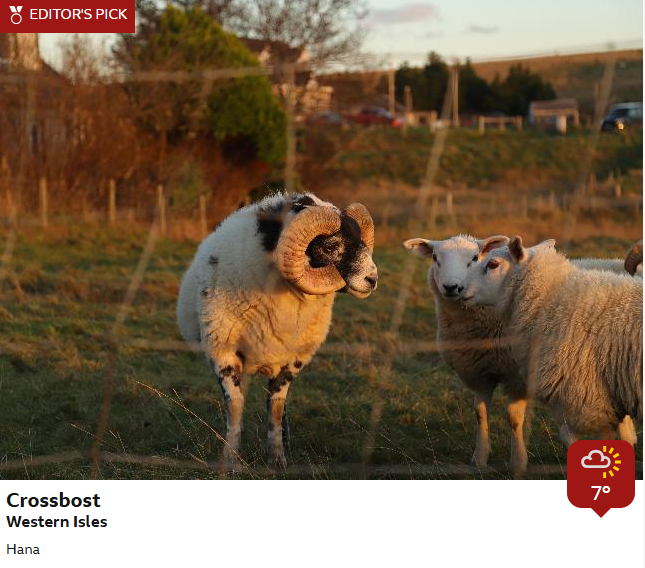 BBCScotWeather's tweet photo. A selection of your Saturday pictures from around Scotland. JR https://t.co/CPLAxmLtWi