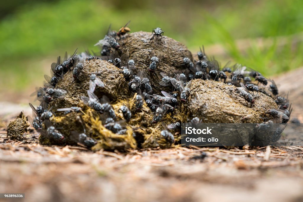 La oposición nunca dejara de ser mosca, siempre andara buscando el pedazo de 💩 para criticar.
<a href="/PayesTony/">T P</a> <a href="/romeoauerbach/">Romeo Auerbach</a> <a href="/waraujo64/">Walter Araujo y Toda la Verdad</a> <a href="/GIRONV875/">Giron H.</a> <a href="/AgradecidaLau/">Agradecida Lau🐦‍⬛</a> <a href="/LyLopez2029/">Brenda lopez</a> <a href="/AlejandroASV7/">Alejandro Ayala</a> <a href="/Gill_Martinez/">El Criaturo Tóxico</a> <a href="/abicontrerassv/">Abigail Contreras</a> <a href="/Blankyross1/">Blankyross 333🇸🇻🙏🏻🌸</a> <a href="/Silvita_Sorian0/">Silvia..🇸🇻💙</a> <a href="/iNonGrato/">Nᴏɴ Gʀᴀᴛᴏ™</a> <a href="/paizsv7/">Solecita Paiz🇸🇻</a> <a href="/MrGamingTec/">Neto-El Nuevo El Salvador</a>