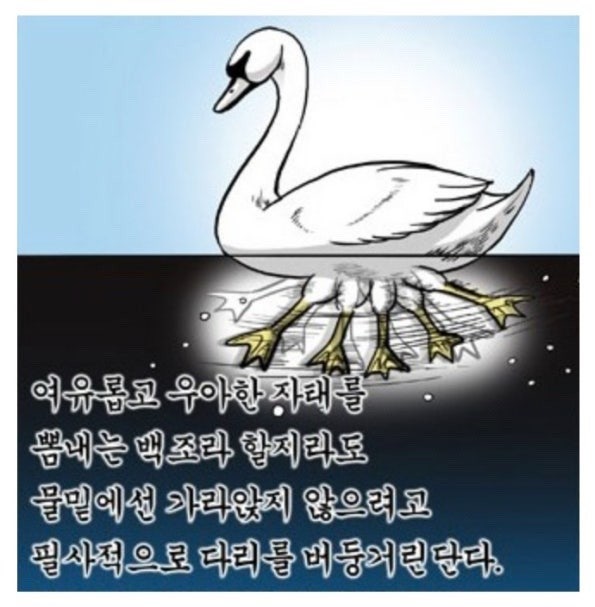 낙서그만 (@toomuchnaksuh) on Twitter photo 