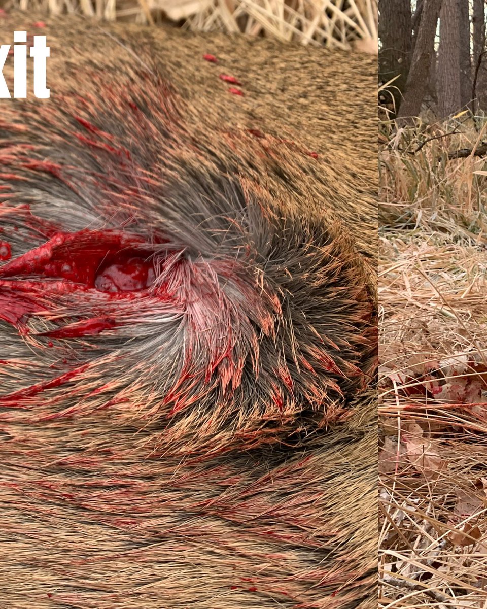 huntography tweet media