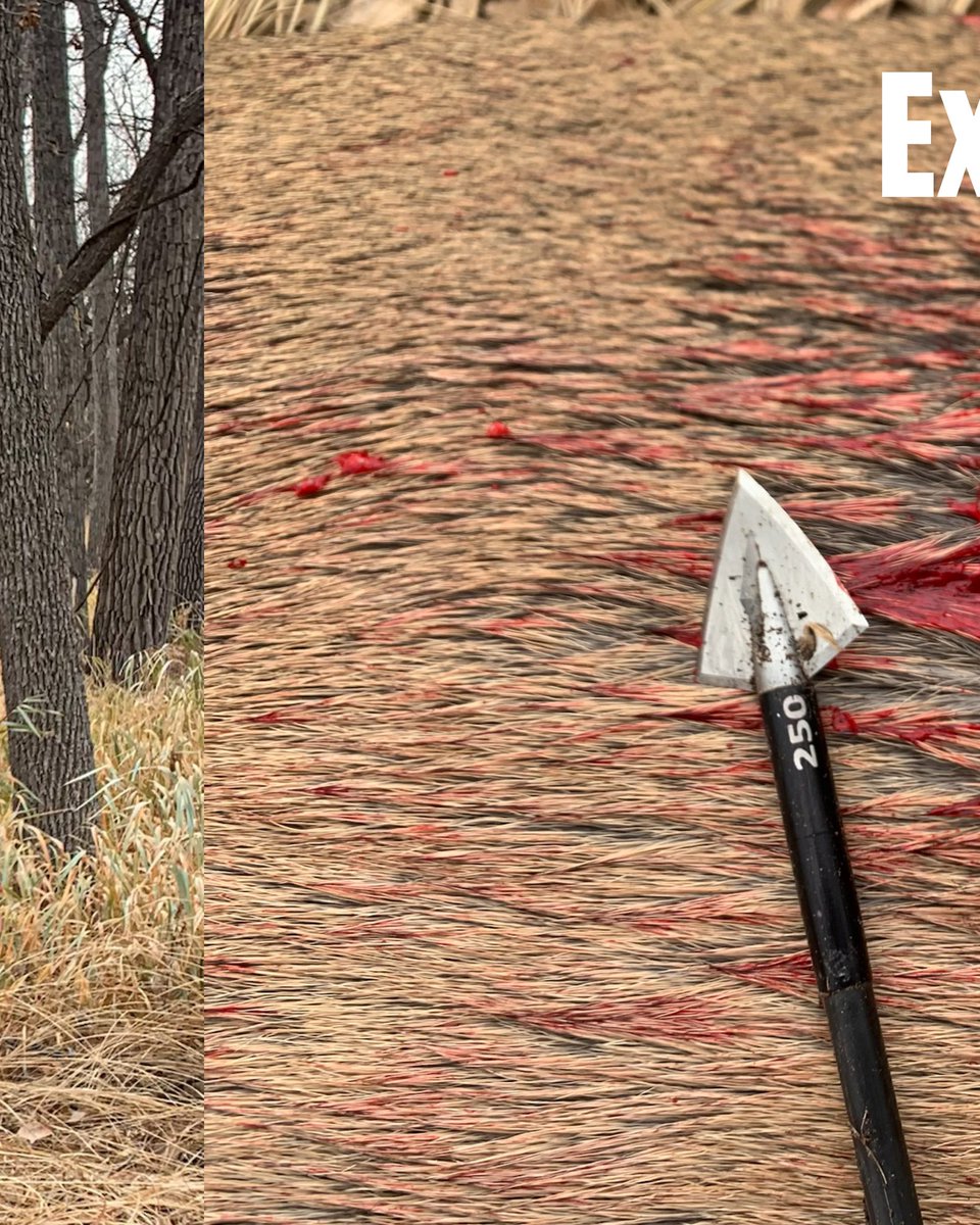 huntography tweet media