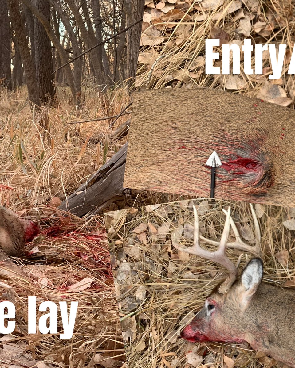 huntography tweet media