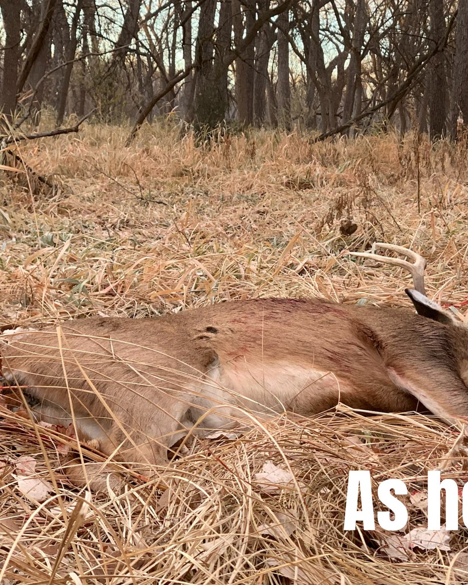 huntography tweet media