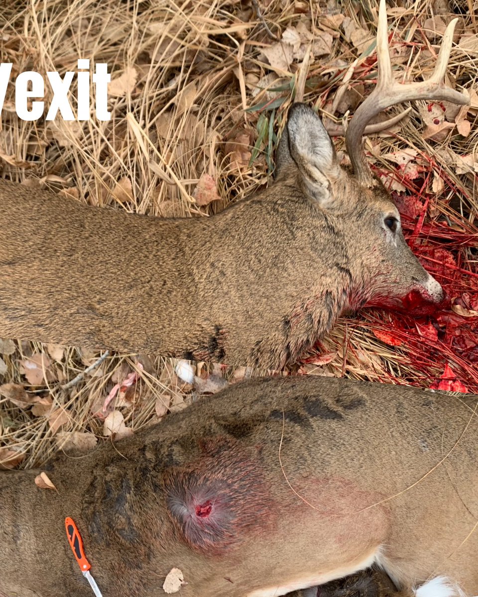 huntography tweet media