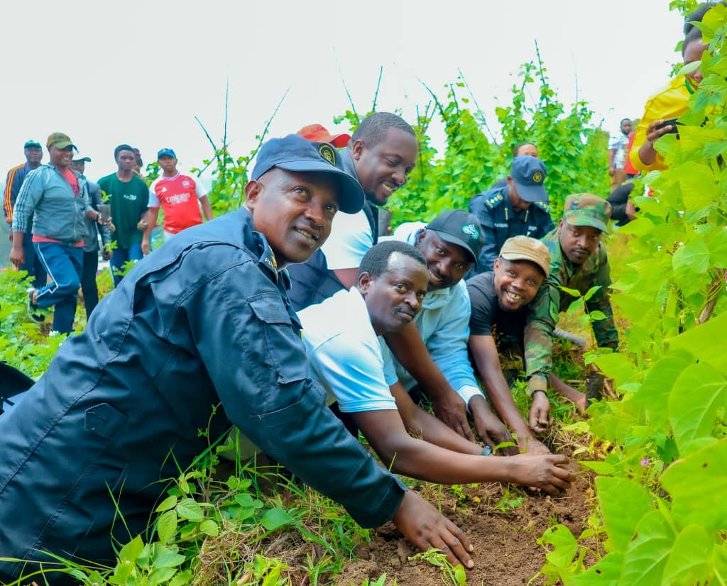 RADIOSALUS1's tweet image. Abakinnyi ba sinema y&apos;u Rwanda bahatanye muri &apos;Mashariki African Film Festival&apos; bakoranye umuganda n&apos;abaturage, mu Murenge wa Cyuve muri @MusanzeDistrict.
Bateye ibiti  1000 bivangwa n&apos;imyaka.
Biyemeje no kujya bahakinira filime, kuko hari ibyiza nyaburanga.
@RwandaNorth