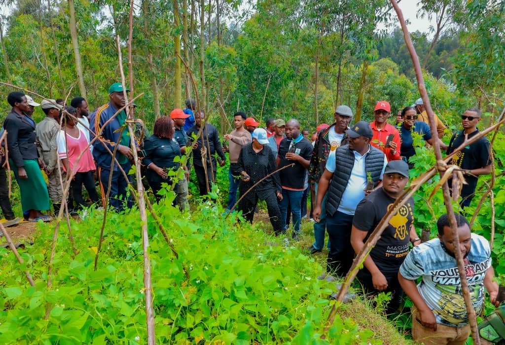 RADIOSALUS1's tweet image. Abakinnyi ba sinema y&apos;u Rwanda bahatanye muri &apos;Mashariki African Film Festival&apos; bakoranye umuganda n&apos;abaturage, mu Murenge wa Cyuve muri @MusanzeDistrict.
Bateye ibiti  1000 bivangwa n&apos;imyaka.
Biyemeje no kujya bahakinira filime, kuko hari ibyiza nyaburanga.
@RwandaNorth