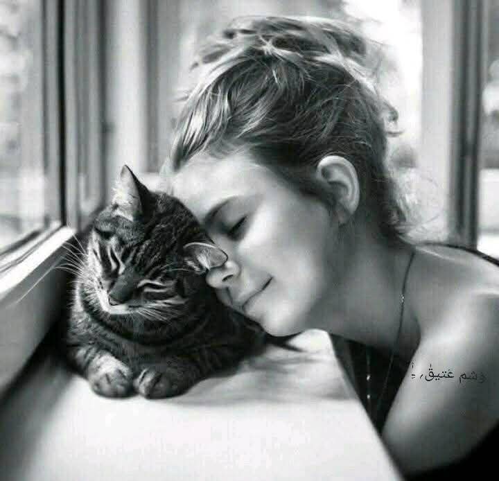 " كل ما أُريده هو أن أتعافى مما تركته الأيام الصعبة في روحي ، أن تنتهي أثار تلك الجروح العميقة من داخلي، أن أنسى ما أبكاني و أتخطى كل هذا الانطفاء الذي حدث لي ، أن أُضيء مجددًا بشغفٍ آخر وبقلبٍ سليم