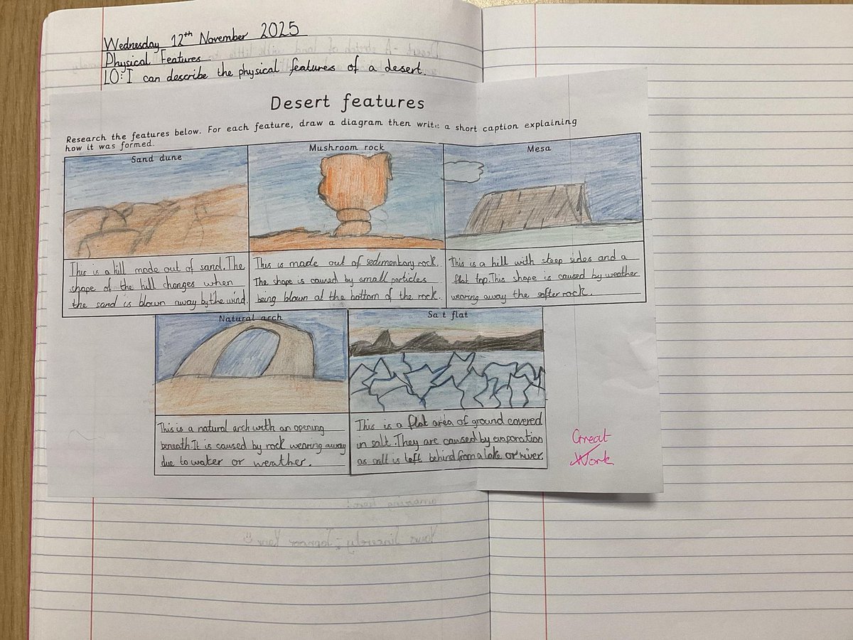 Falcons Primary tweet media