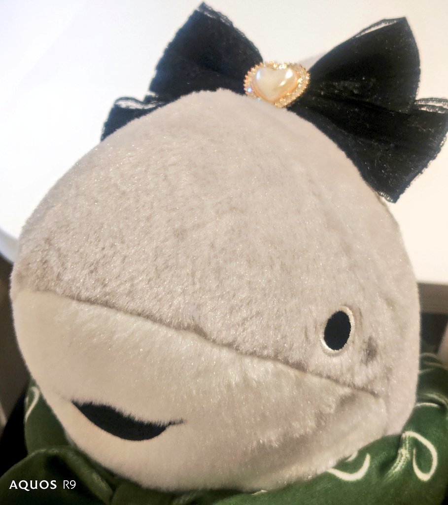 IDEAMASTER10's tweet image. リボンシリーズ。最後は子ザメちゃん。
気に入ってくれたかな？
#おでかけ子ザメ
#子ザメちゃん