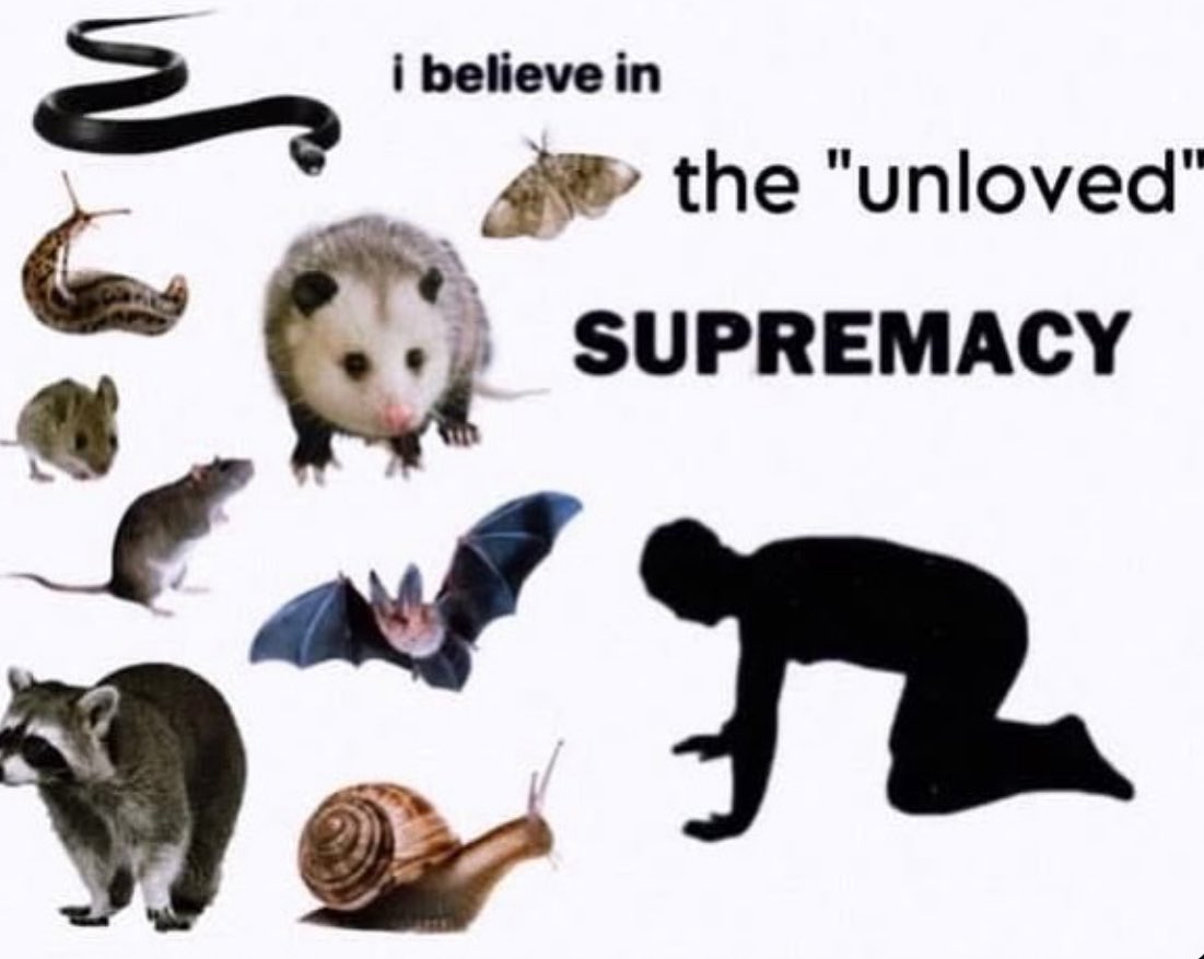 horrorsthetics's tweet image. 