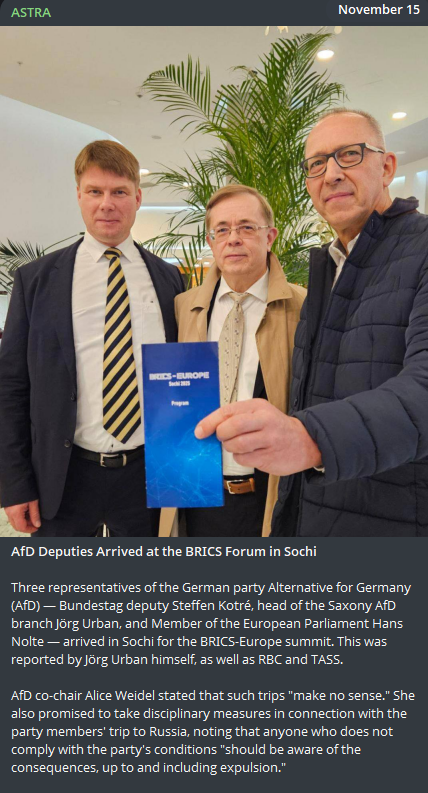 Germany's AfD at the BRICS forum in Sochi, Russia